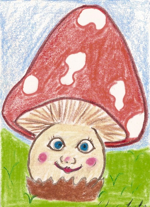 Mr. Mushroom  by Rebecca Nipper